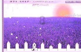 全国少儿足球邀请赛在达州开踢 29支足球队参赛